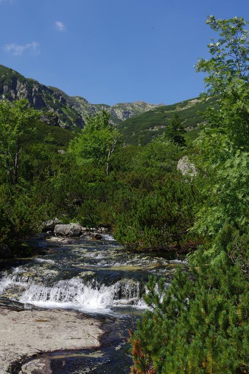 Studio Livia Vysoke Tatry Exterior photo