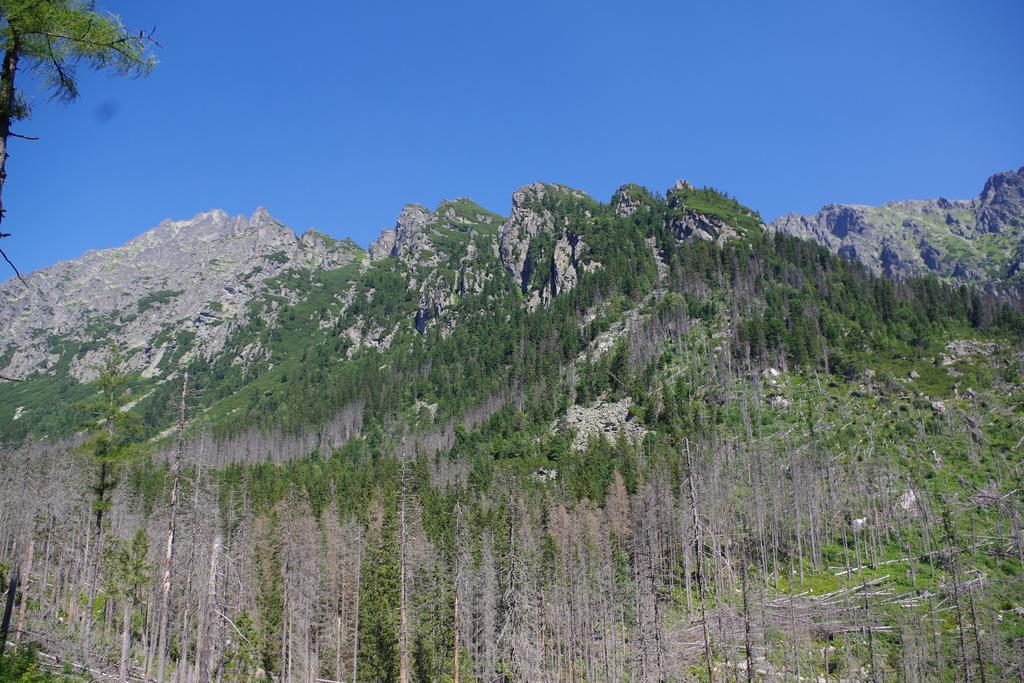Studio Livia Vysoke Tatry Exterior photo